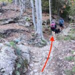 Sentiero per Maslana per il rifugio Curò