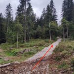 Sentiero per il rifugio Alpe Corte da Valcanale