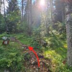 Rifugio Calvi