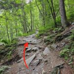 Sentiero per Rifugio Laghi Gemelli