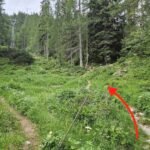 Sentiero per Rifugio Laghi Gemelli